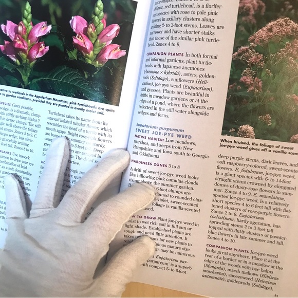 2 Gardening books from Brooklyn Botanic Garden. Each 112 pages. - Picture 10 of 14